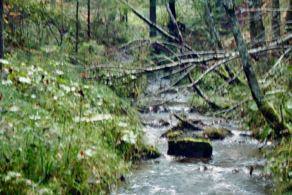 Bachl im Grünem