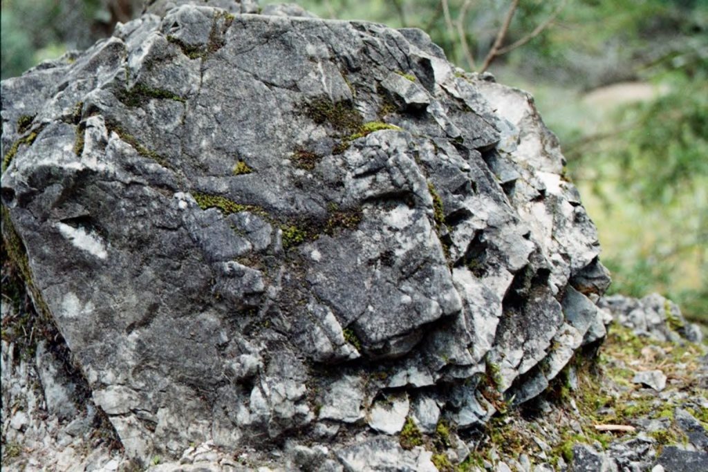 Stein im Grünem