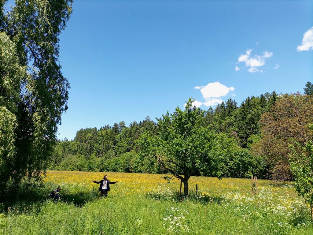 Kunst in den Ferienwohnungen_Lienz