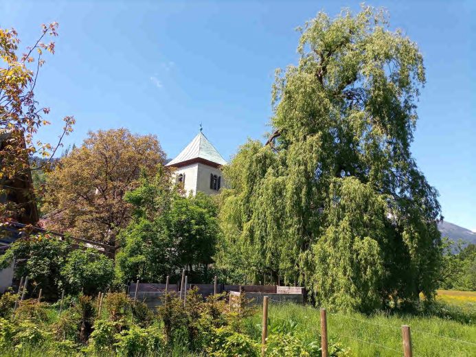 Ferienwohnung_Lienz_Osttirol