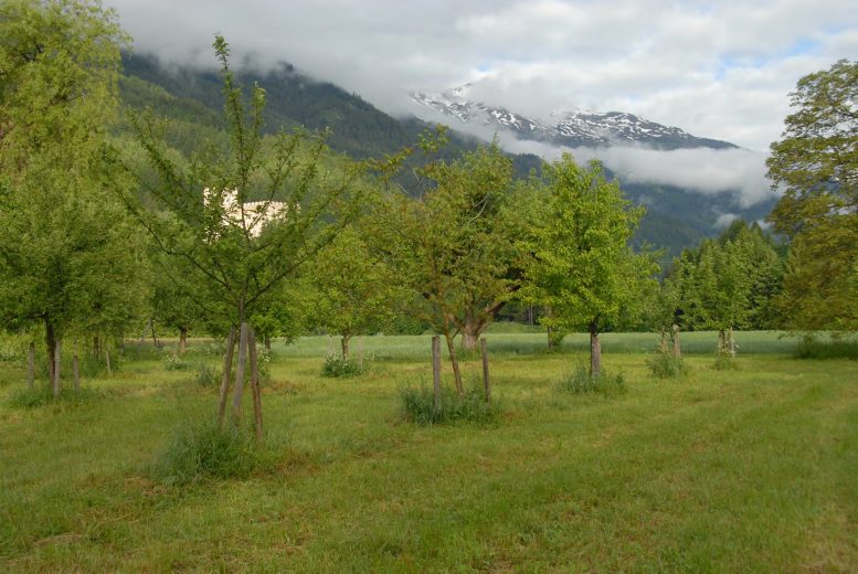 Ferienwohnung_Lienz-Osttirol_1